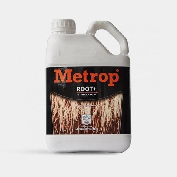 Amino Root