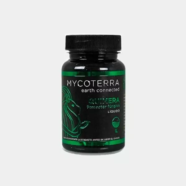 Visualizzazione Quimera di Mycoterra protettore fungino