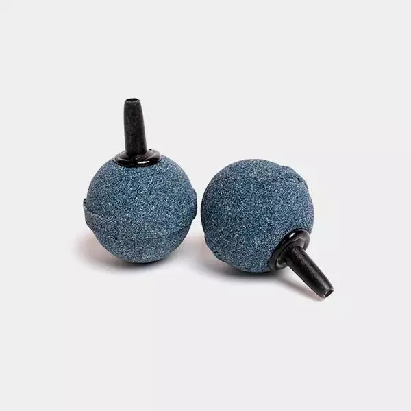 Pietre porose per usare pompe d'aria.