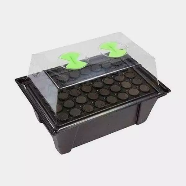 Propagatore X-Stream