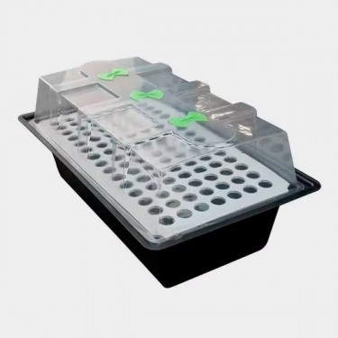Propagatore X-Stream