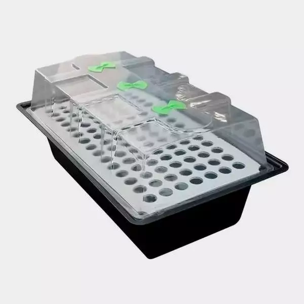 Propagatore X-Stream