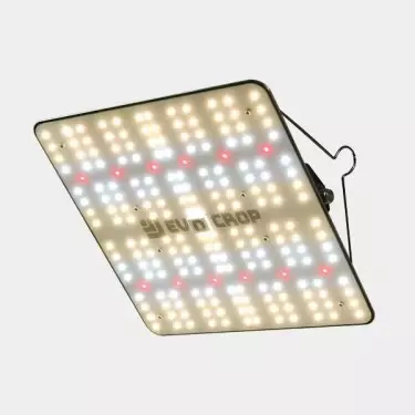 Comprare Pannello Led Wallace V1 120W - GB The Green Brand