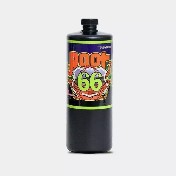 Root 66