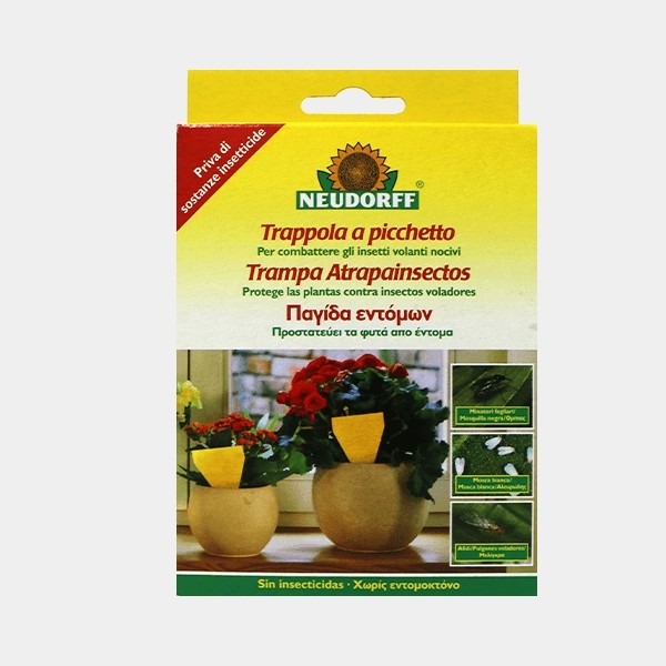 Visualizzazione Trappole cattura insetti Neudorff gialle