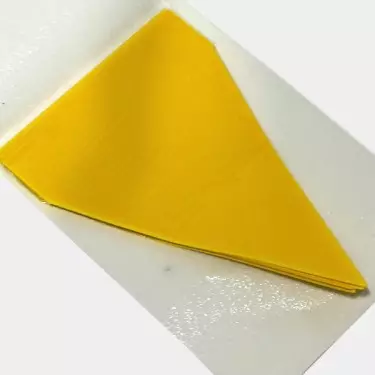 Trappole cattura insetti Neudorff gialle