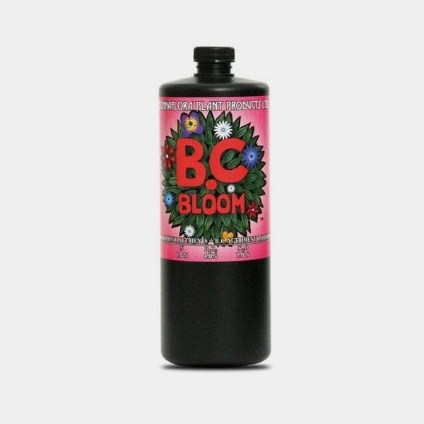 B.C. Bloom di Technaflora Plant Products.