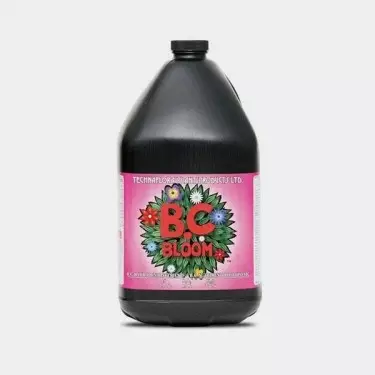 B.C. Bloom di Technaflora Plant Products.