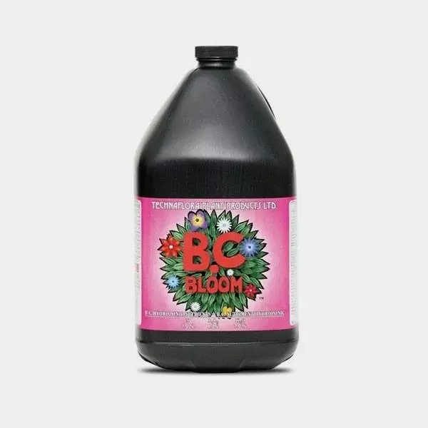 B.C. Bloom di Technaflora Plant Products.