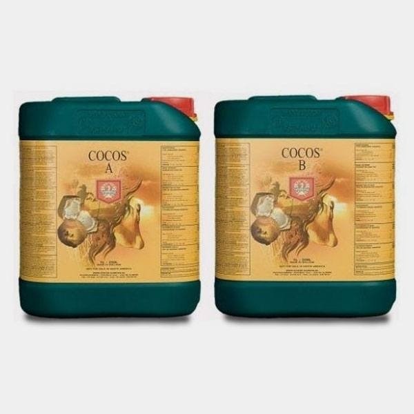 Cocos A+B House&Garden fertilizzante base.