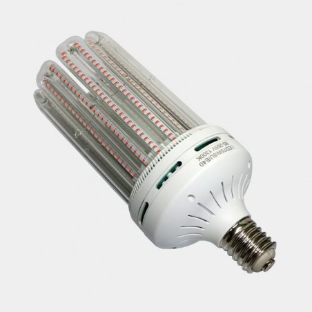 Lampada LED Solux Fioritura basso consumo.