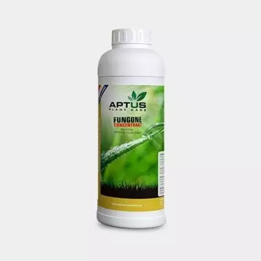 Fungone Concentrado di Aptus Holland.