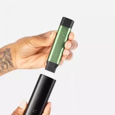 PAX Stash Tube - GB The Green Brand