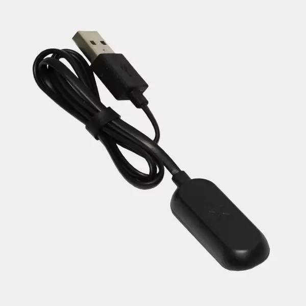 PAX Mini Caricatore USB portatile PAX Labs