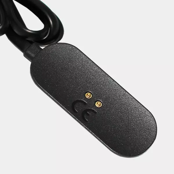 PAX Mini Caricatore USB portatile PAX Labs