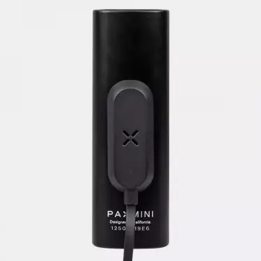 Vaporizzatore Pax Mini per erbe - Growbarato