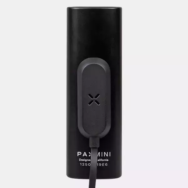 Vaporizzatore Pax Mini per erbe - Growbarato