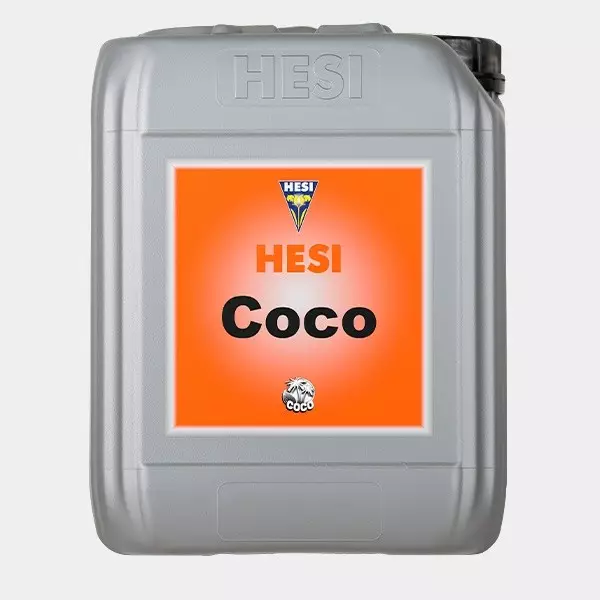 Cocco Hesi