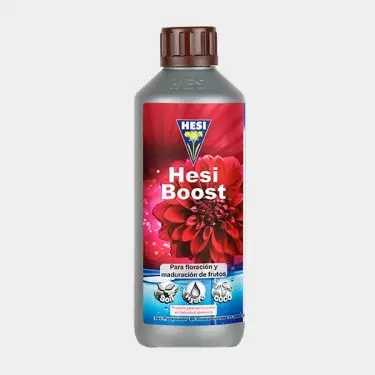 Boost stimolatore ed acceleratore di Hesi
