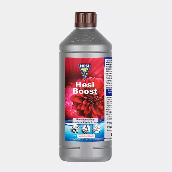 Hesi Boost Hesi Boost