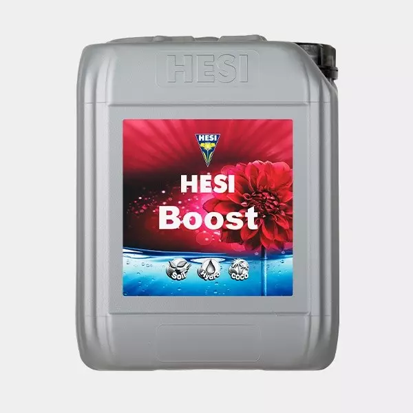 Hesi Boost Hesi Boost