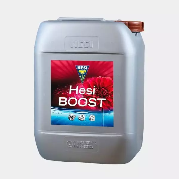 Hesi Boost Hesi Boost