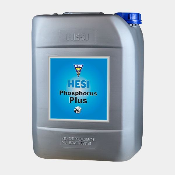 Fosforo Plus