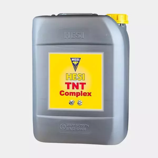 Complesso TNT