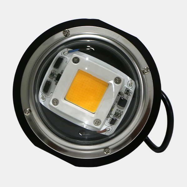 LED TX COB DOB con lente a basso consumo.