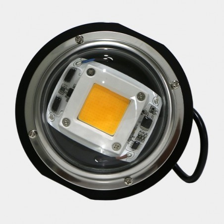 LED TX COB DOB con lente a basso consumo.