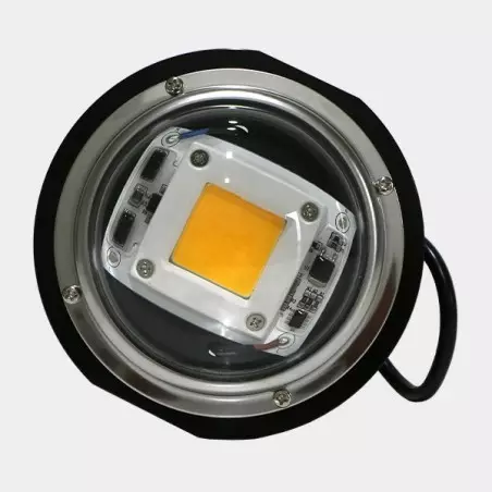 LED TX COB DOB con lente a basso consumo.
