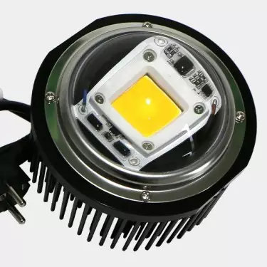 LED TX COB DOB con lente a basso consumo.