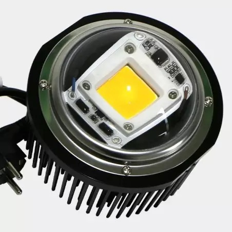 LED TX COB DOB con lente a basso consumo.