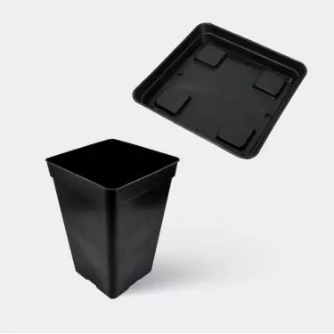 Kit Completo Principiante 80x80 - GB The Green Brand