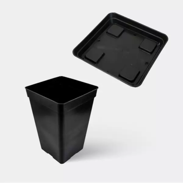 Kit Completo Principiante 80x80 - GB The Green Brand