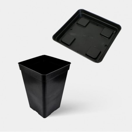 Kit Completo Principiante 80x80 - GB The Green Brand