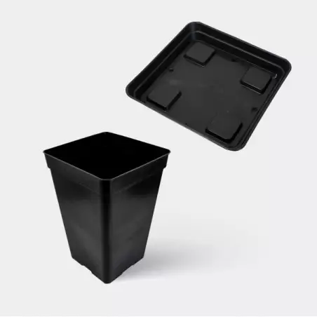 Kit Completo Principiante 80x80 - GB The Green Brand