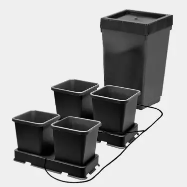 Autopot irrigazione automatica per gravitá