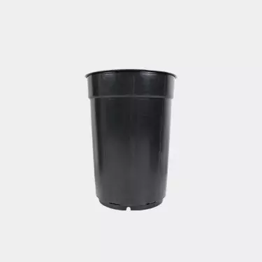 Vaso tubolare marca VDL professionale