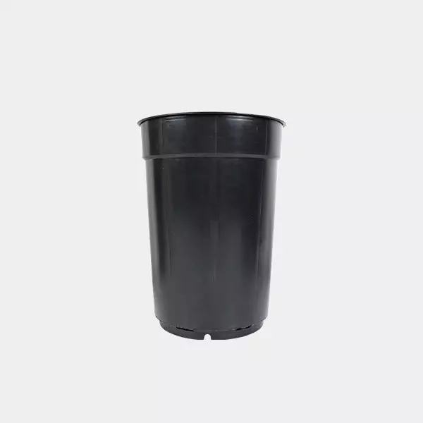 Vaso tubolare marca VDL professionale