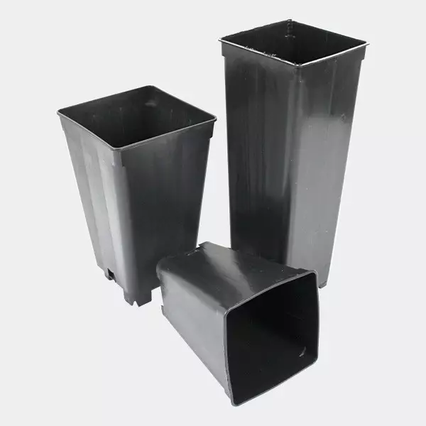 Visualizzazione Vasi Quadrati Allungati