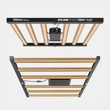Dimlux Xplore Series LED 730W 9X dal basso