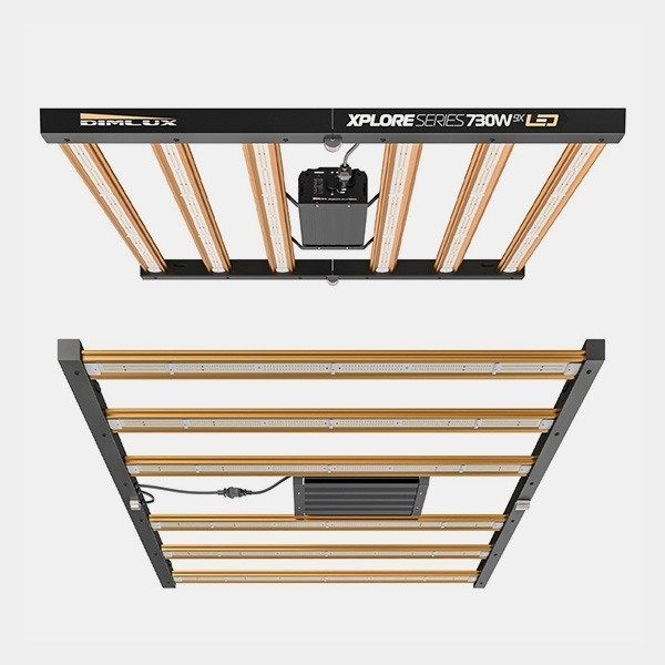 Dimlux Xplore Series LED 730W 9X dal basso