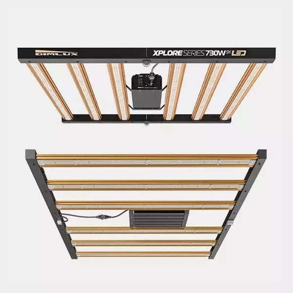 Dimlux Xplore Series LED 730W 9X dal basso