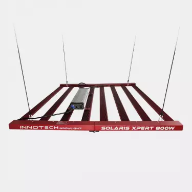 LED Solaris Xpert 800W Innotech parte superiore