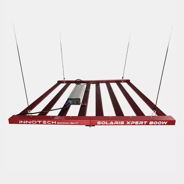 LED Solaris Xpert 800W Innotech parte superiore