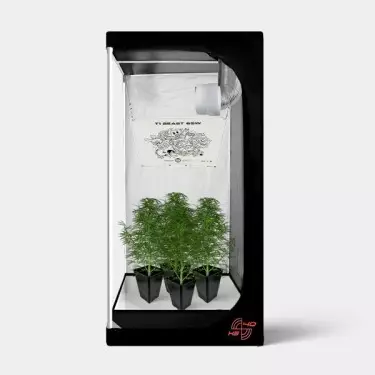 Kit completo Mini 40x40 Assemblato