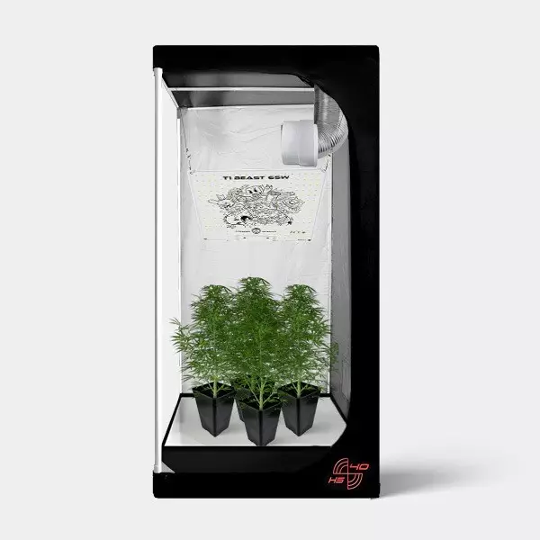 Kit completo Mini 40x40 Assemblato