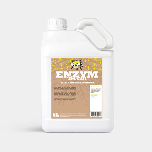 Enzym Boom