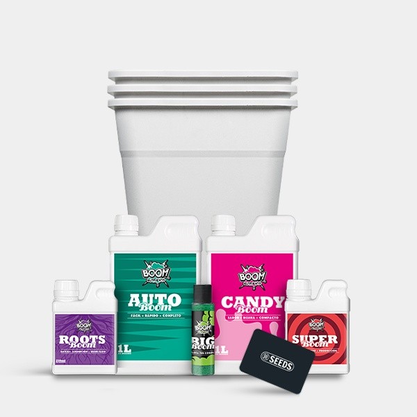 Visualizzazione Kit Completo autofiorenti per la coltivazione
